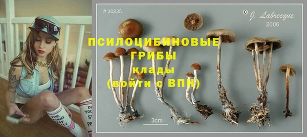 СК Балахна