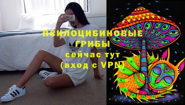 apvp Балабаново