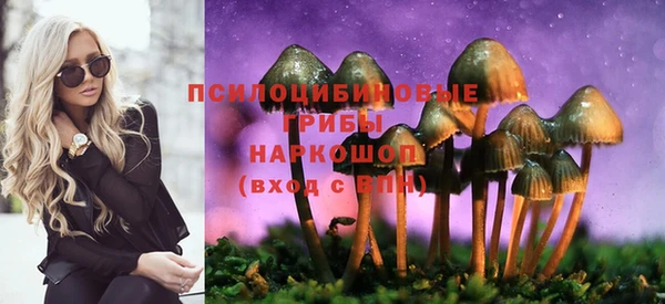 apvp Балабаново