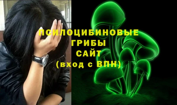 apvp Балабаново