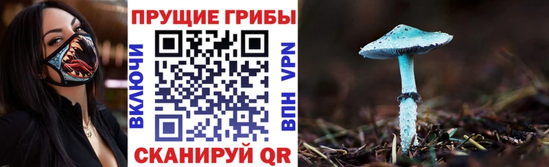 Псилоцибиновые грибы Psilocybe  kraken зеркало  Сухой Лог 
